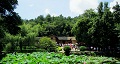 長(zhǎng)沙出發(fā)到花明樓、韶山、張家界國(guó)家森林公園、天門(mén)仙山國(guó)家森林公園四日游