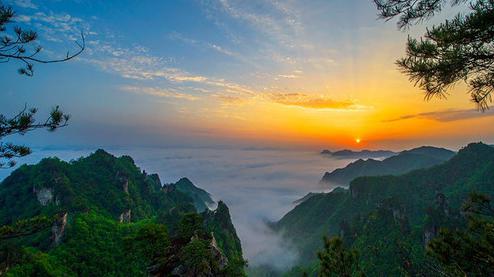 張家界森林公園（金鞭溪、袁家界、楊家界、天子山、十里畫廊）住山上2天1游（可看日出）